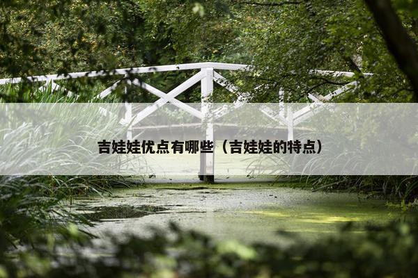 吉娃娃优点有哪些（吉娃娃的特点）