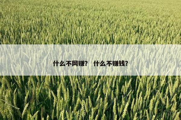 什么不网赚？ 什么不赚钱？