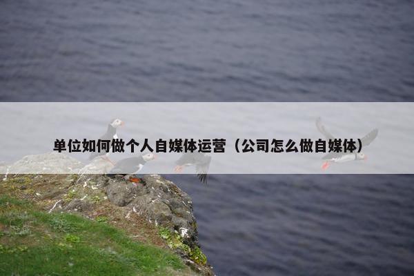 单位如何做个人自媒体运营（公司怎么做自媒体）