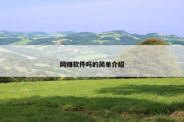 网赚软件吗的简单介绍