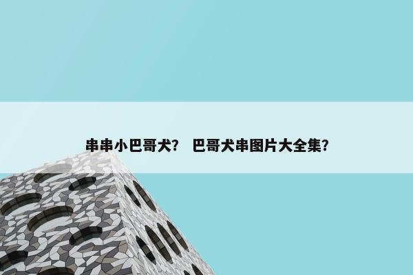 串串小巴哥犬？ 巴哥犬串图片大全集？