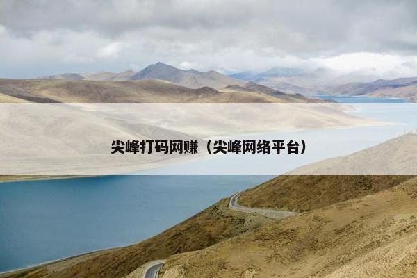 尖峰打码网赚（尖峰网络平台）