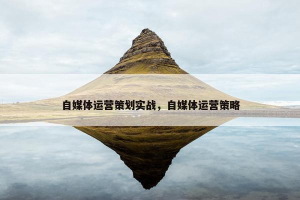 自媒体运营策划实战，自媒体运营策略