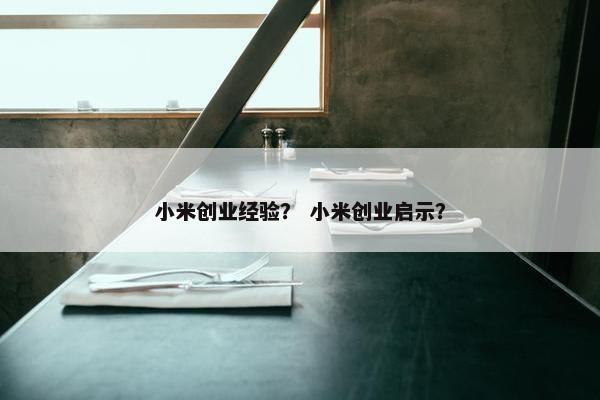 小米创业经验？ 小米创业启示？