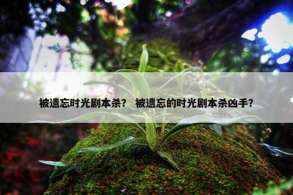 被遗忘时光剧本杀？ 被遗忘的时光剧本杀凶手？