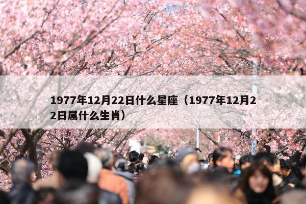 1977年12月22日什么星座（1977年12月22日属什么生肖）