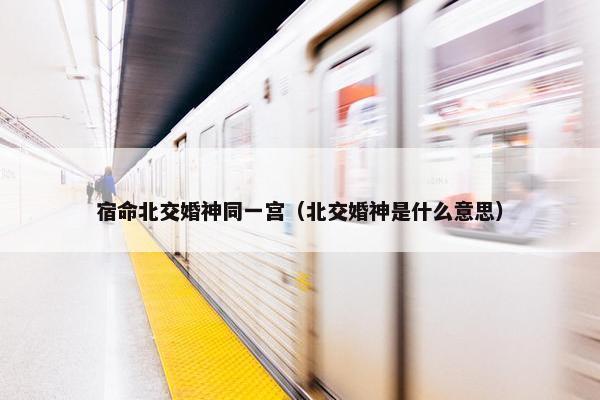 宿命北交婚神同一宫（北交婚神是什么意思）