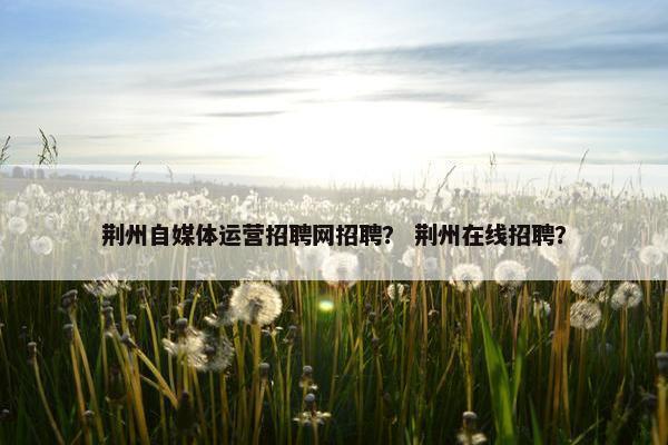 荆州自媒体运营招聘网招聘？ 荆州在线招聘？