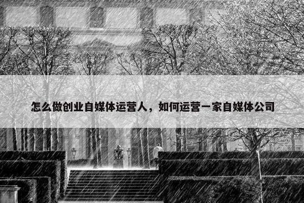 怎么做创业自媒体运营人，如何运营一家自媒体公司