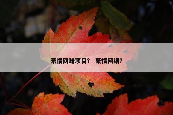 豪情网赚项目？ 豪情网络？