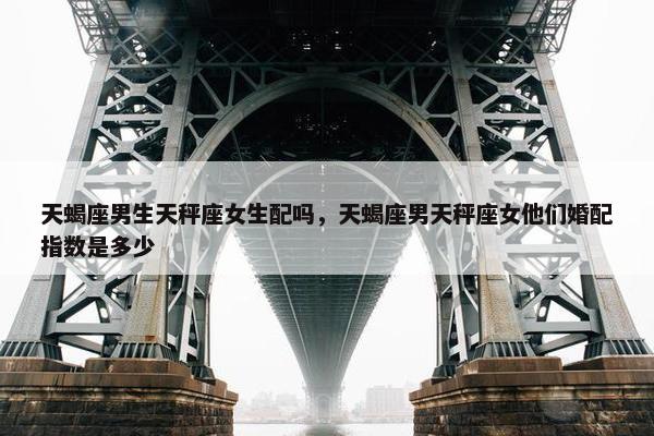 天蝎座男生天秤座女生配吗，天蝎座男天秤座女他们婚配指数是多少