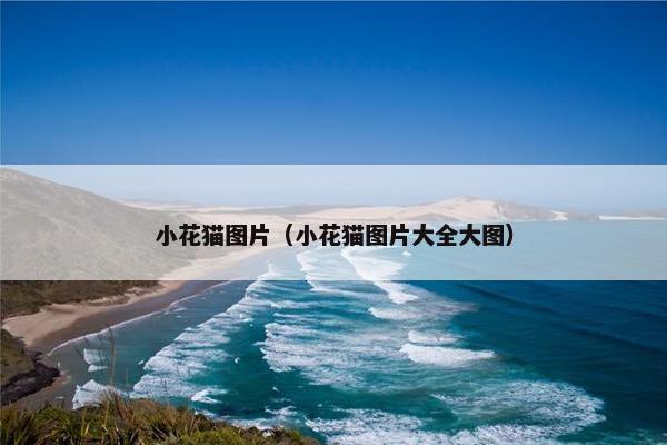 小花猫图片（小花猫图片大全大图）