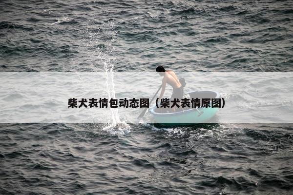 柴犬表情包动态图（柴犬表情原图）