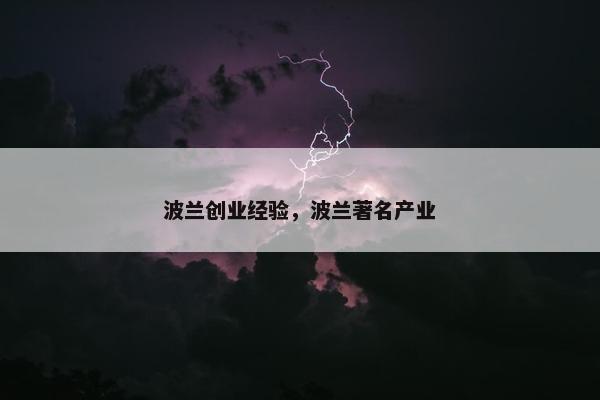 波兰创业经验，波兰著名产业