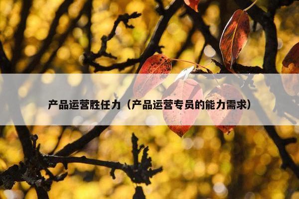 产品运营胜任力（产品运营专员的能力需求）