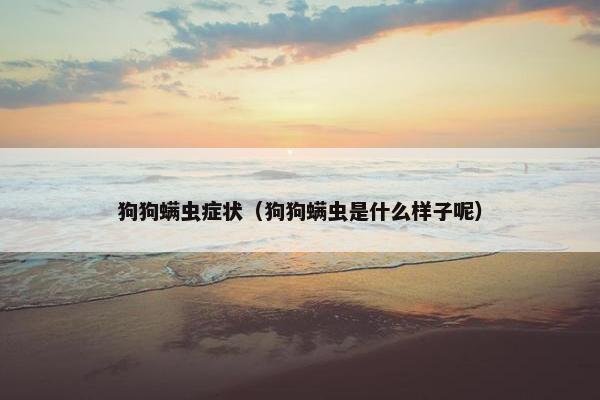 狗狗螨虫症状（狗狗螨虫是什么样子呢）
