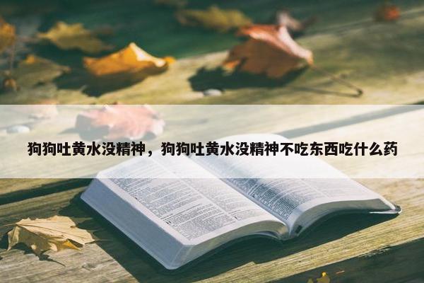 狗狗吐黄水没精神，狗狗吐黄水没精神不吃东西吃什么药