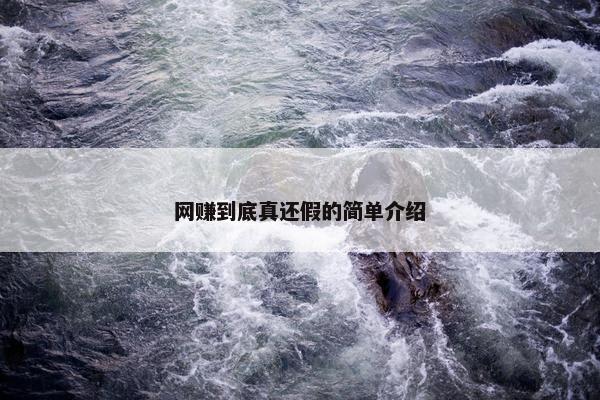 网赚到底真还假的简单介绍