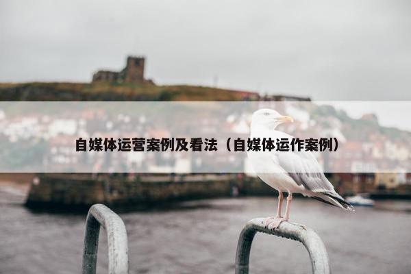自媒体运营案例及看法（自媒体运作案例）