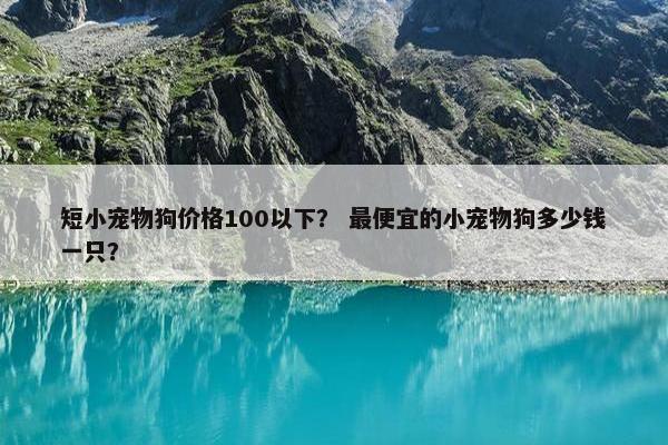 短小宠物狗价格100以下？ 最便宜的小宠物狗多少钱一只？
