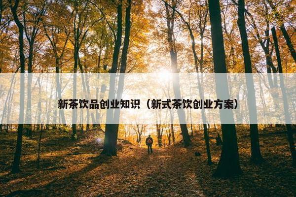 新茶饮品创业知识（新式茶饮创业方案）