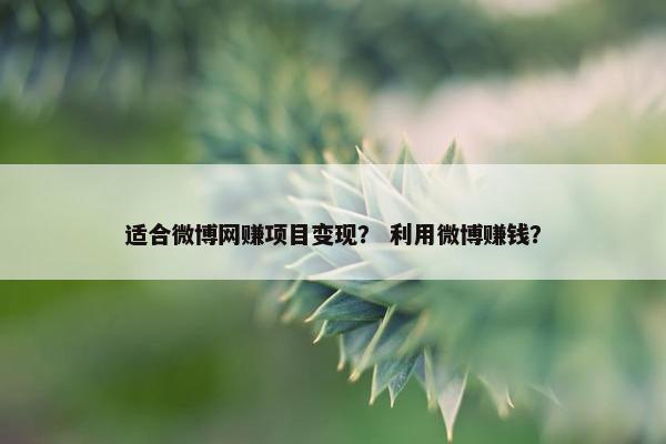 适合微博网赚项目变现？ 利用微博赚钱？