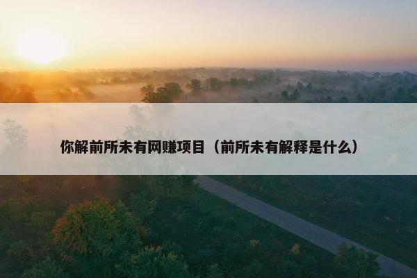 你解前所未有网赚项目（前所未有解释是什么）