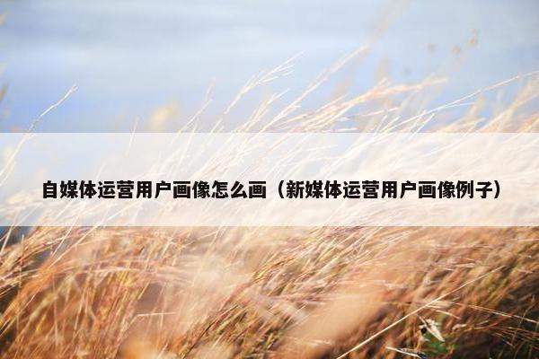 自媒体运营用户画像怎么画（新媒体运营用户画像例子）