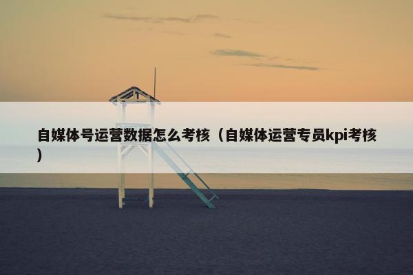 自媒体号运营数据怎么考核（自媒体运营专员kpi考核）