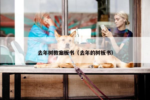 去年树教案板书（去年的树板书）