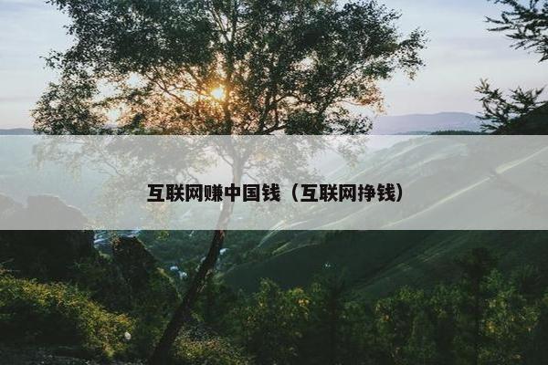 互联网赚中国钱（互联网挣钱）