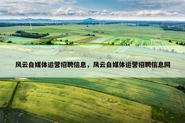 风云自媒体运营招聘信息，风云自媒体运营招聘信息网