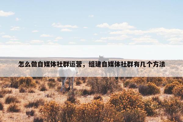 怎么做自媒体社群运营，组建自媒体社群有几个方法