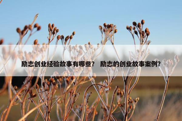 励志创业经验故事有哪些？ 励志的创业故事案例？