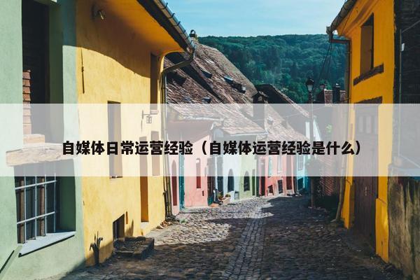 自媒体日常运营经验（自媒体运营经验是什么）