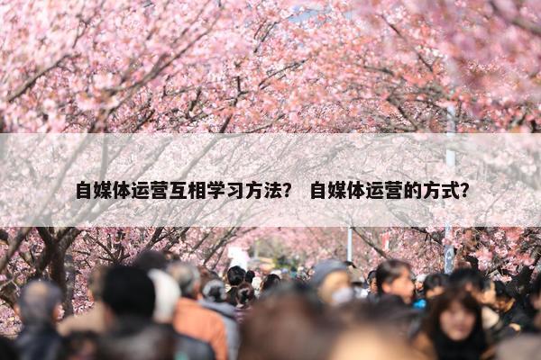 自媒体运营互相学习方法？ 自媒体运营的方式？