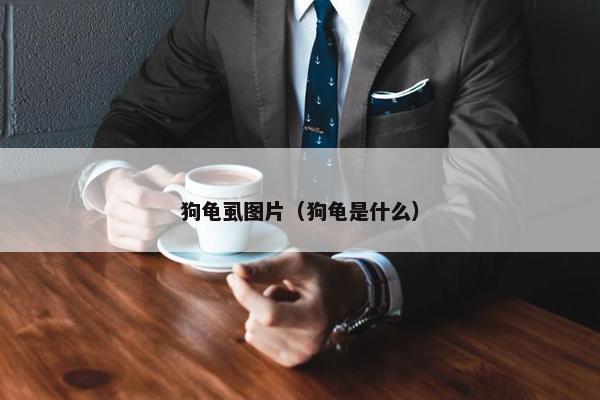 狗龟虱图片（狗龟是什么）