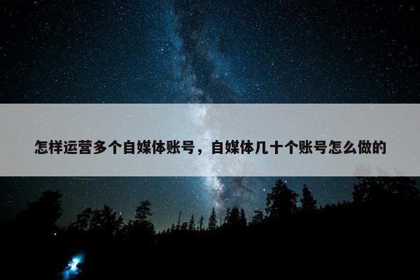 怎样运营多个自媒体账号，自媒体几十个账号怎么做的