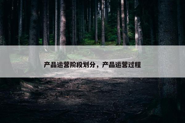 产品运营阶段划分，产品运营过程