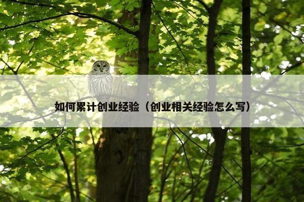 如何累计创业经验（创业相关经验怎么写）