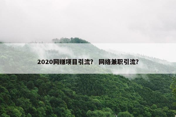 2020网赚项目引流？ 网络兼职引流？