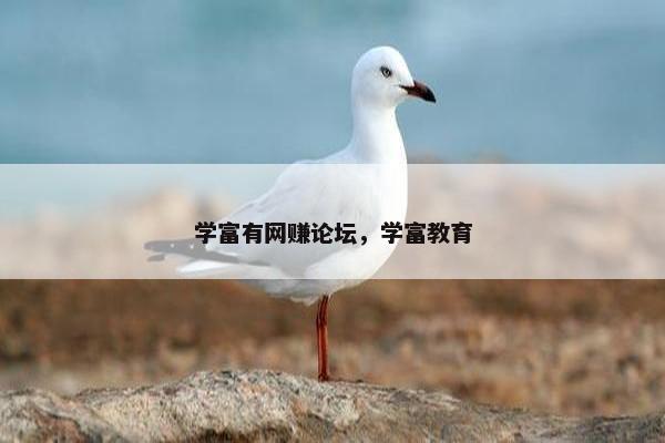 学富有网赚论坛，学富教育