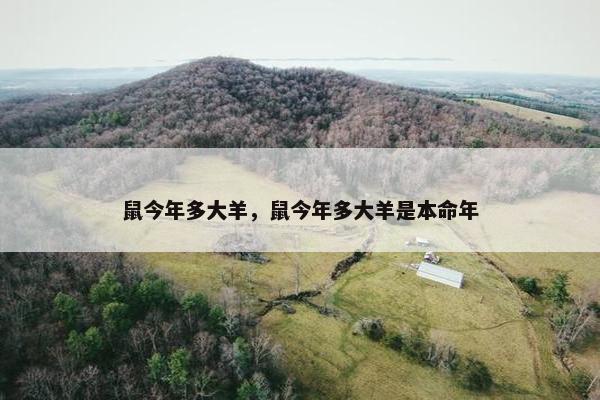 鼠今年多大羊，鼠今年多大羊是本命年