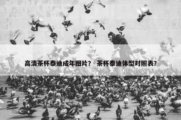 高清茶杯泰迪成年图片？ 茶杯泰迪体型对照表？