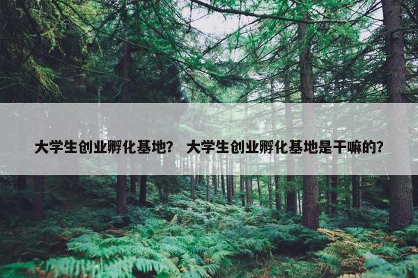 大学生创业孵化基地？ 大学生创业孵化基地是干嘛的？
