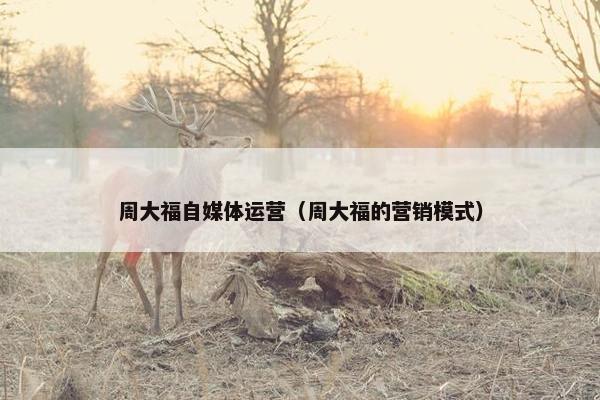 周大福自媒体运营（周大福的营销模式）