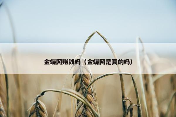 金蝶网赚钱吗（金蝶网是真的吗）
