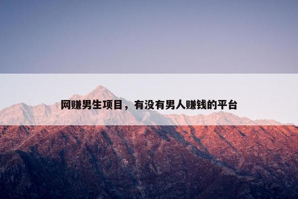 网赚男生项目，有没有男人赚钱的平台