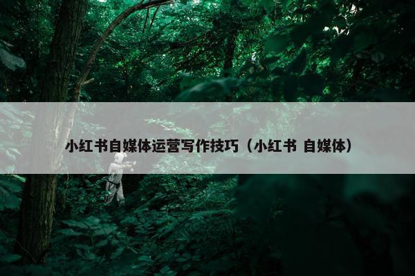 小红书自媒体运营写作技巧（小红书 自媒体）