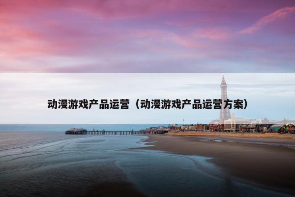 动漫游戏产品运营（动漫游戏产品运营方案）